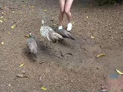 Amateur, Playa, Morena, Hd, Al aire libre, Pov, Afeitado, Fumando