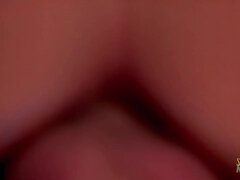 Perky nymphet's brunette porn