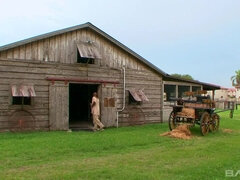 Grosser arsch, Schwarz, Vollbusig, Gruppensex, Hardcore, Milf, Jungendliche (18+), Titten