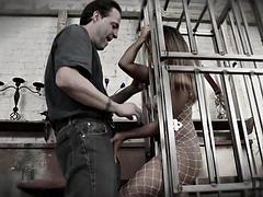 Asiatique, Gros seins, Sucer une bite, Brunette brune, Hard, Mature, Mère que j'aimerais baiser, Suçant