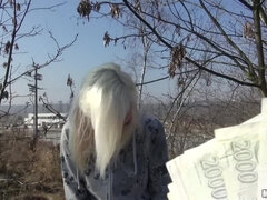 Public Pickups - Seduction Of A Czech Amateurs 1 - Lenny Elleny