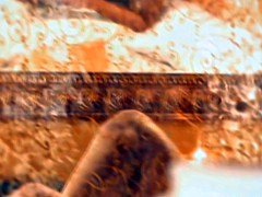 茶髪の, インド人