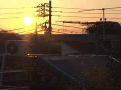 Сногсшибательные, Азиатки, Жопа, Минет, Секс без цензуры, Застенчивая, Молоденькие, Сиськи