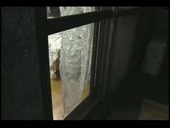 Азиатки, Японки, Лесбиянка