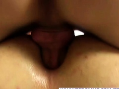 Sucer une bite, Brunette brune, Hd, Transsexuelle, Nénés