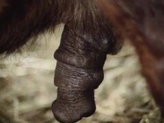 Категория - Секс без цензуры