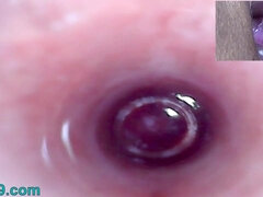 Aziatisch, Sperma, Vuisten, Duits, Gynaecoloog, Hardcore, Japaans, Lesbisch