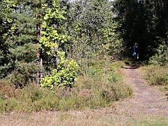 Penetracion con dedos, Hd, Masturbación, Orgasmo, Al aire libre, Coño, Afeitado, Adolescente