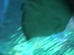 Amateur, Bikini, Rubia, Novia, Gafas, Pov, Flaco, Durmiendo