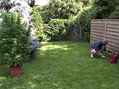 European, Hardcore, Teen, Wife swap