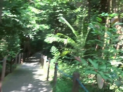 Leie, Fingern, Freundin, Brille, Masturbation, Pov, Muschi, Rasiert