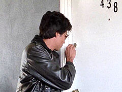 Хд, Peter north, Ретро