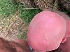 農場, ゲイ