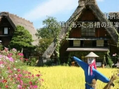 アジア人, 日本人