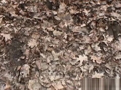 素人, 美人, クラブ, カワイイ, イマラチオ, 天然, 公共, オッパイの