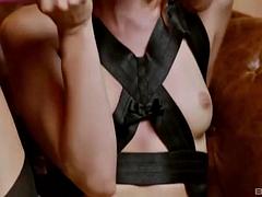 Anal, Doble penetracion, Grupo, Lesbiana, Lencería, Orgía, Flaco, Juguetes