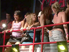 Leie, Hochschule, Polisch, Öffentlich