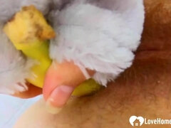 Amateur, Acercamiento, Peludo, Casero, Masturbación, Coño, Solo