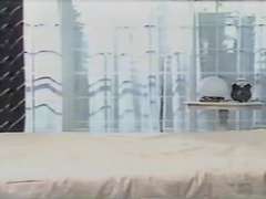 日本人, ポルノスター