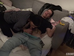 Mooi, Bruinharig, Tsjechisch, Hardcore, Tweelingen