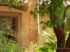 Swinger couples visit different premises of the mansion to meet other couples