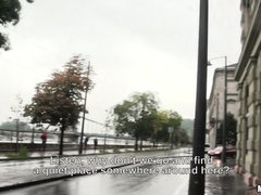 Hongroise, Public