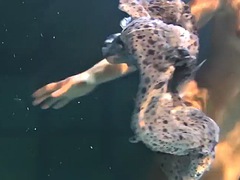 Chica, Público, Ruso, Ducha, Solo, Adolescente, Tetas, Bajo el agua