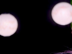 Emotionale dirne, Hd, Masturbation, Erotischer film, Solo, Jungendliche (18+), Netzkamera
