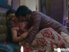 Indian Bhabhi Fest Night Sex