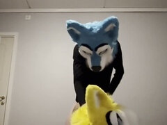 Breeding, close up, fursuit