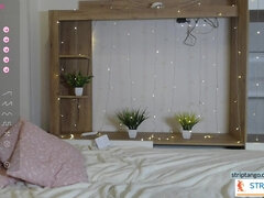 Enthousiasteling, Webcamera