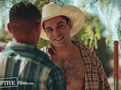 Garganta profunda, Gay, Peludo, Interracial, Tabú