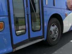 Asiatique, Bus, Gode, Japonaise