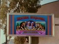 毛深い, ポルノスター