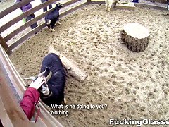 Анальный секс, Минет, Семяизвержение, Пальцем, Хд, Кричащие, Бритые, Молоденькие