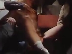 Грудастые, Классика, Смазливые, Глубокая глотка, Француженки, Зрелые, Киски, Сиськи