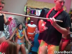 Dare Dorm - Luau Party 1 - Bailey Bae