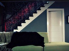 Tussi, Grosse titten, Braunhaarige, Hardcore