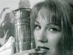 Gros seins, Sucer une bite, Brunette brune, Plantureuse, En levrette, Léchez, Rasée, Nénés