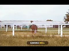 Vip4k. city pecker, country girls