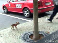 素人, お尻, 巨乳な, ハメ撮り, オマンコ, 現実, 叫ぶ, オッパイの