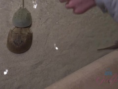 素人, 茶髪の, 指いじり, 小柄, オマンコ, ガリガリ, ティーン, オッパイの