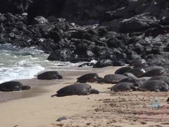 Playa, Bikini, Morena, Desnudo, Coño, Afeitado, Voyeur, Mojado