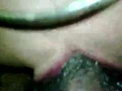 Leie, Grosser schwanz, Schwarz