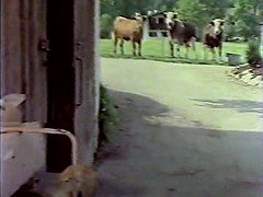 Golden Geisel : Die Perversen Grafinnen und ihre opfer