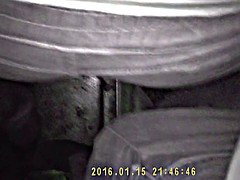 Любители, Красотки