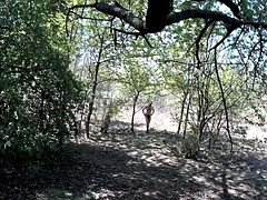 Cruising in the woods