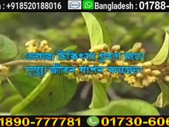 Asiático, Culo grande, Tetas grandes, Tetona, Sexo duro, Indio, Tetas naturales, Tetas