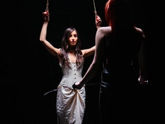 Grote kont, Grote mammen, Bruinharig, Hondjeshouding, 1 man 2 vrouwen, Hardcore, Hakken, Tiener