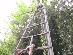 18 jahre, In den arsch, Braunhaarige, Besamung, Dildo, Im freien, Gefesselt, Spielzeuge